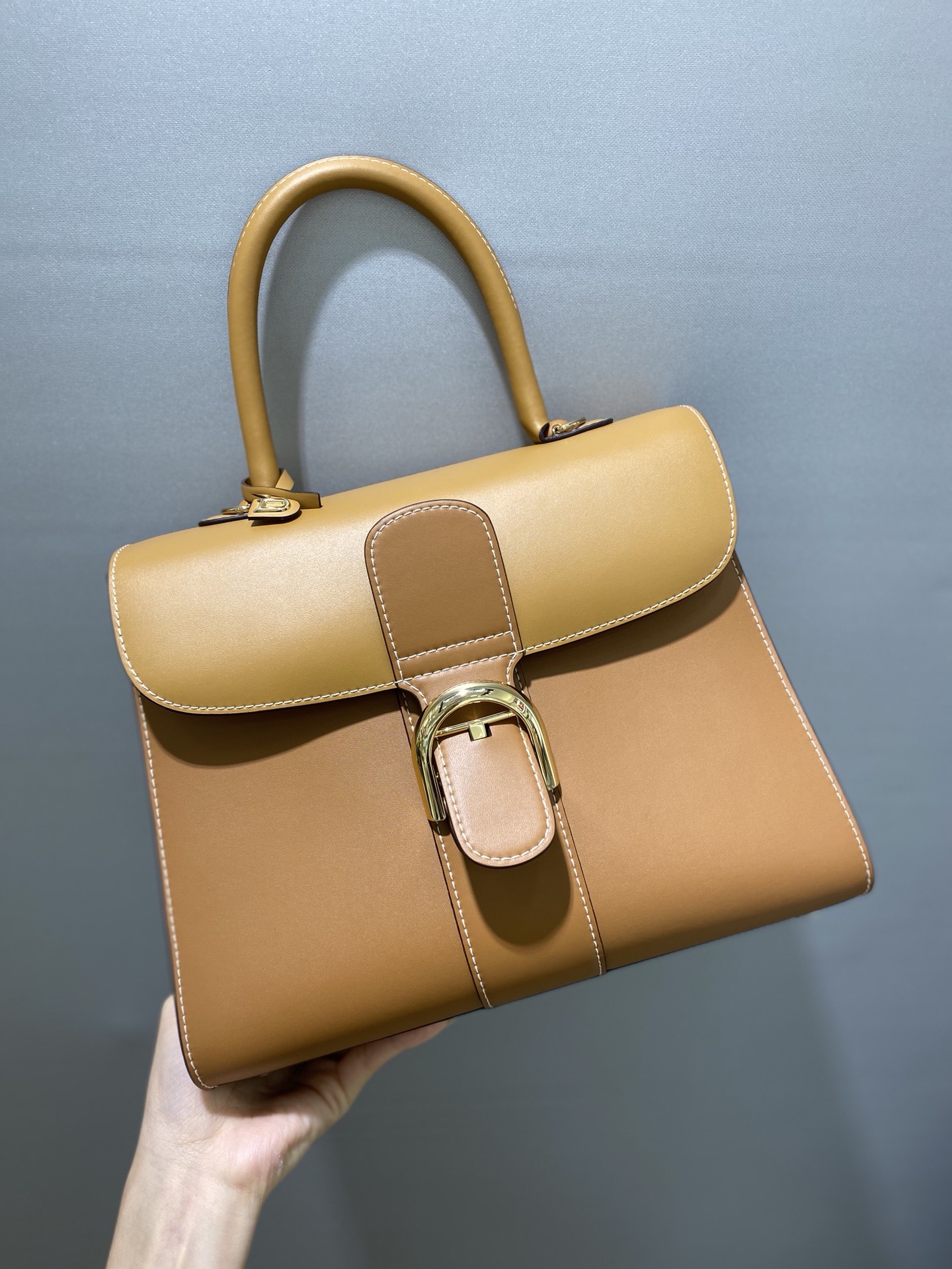 델보 브리앙 박스백 미듐